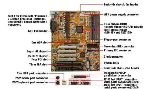 bx6.jpg