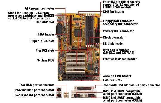 lm6.jpg