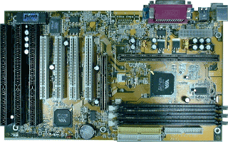 g6via81p.gif