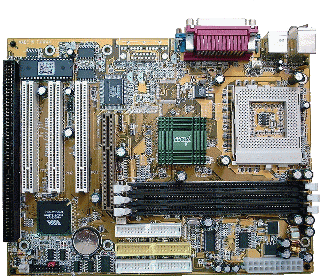 g6via82p.gif